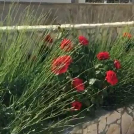 Ražanac Miro Apartmani מראה חיצוני תמונה