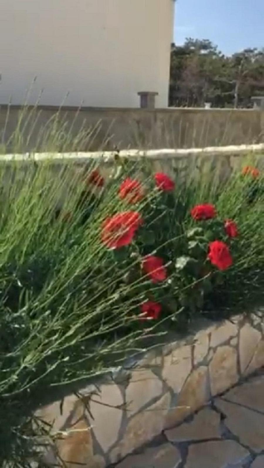 Ražanac Miro Apartmani מראה חיצוני תמונה