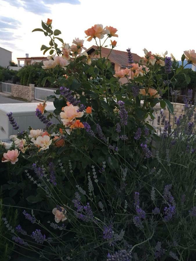 Ražanac Miro Apartmani מראה חיצוני תמונה